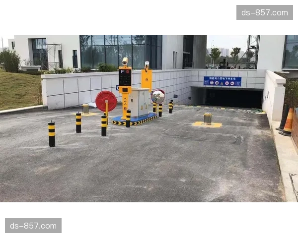 智能停车系统联网 缓解大型体育活动交通压力